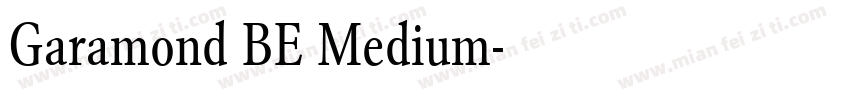 Garamond BE Medium字体转换